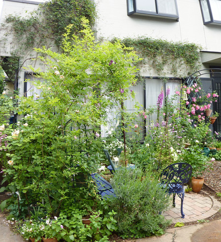 20100529.JPGのサムネール画像