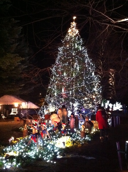 IMG_0840.JPGのサムネール画像