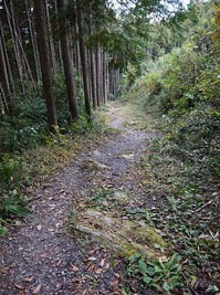 P1010269.jpgのサムネール画像