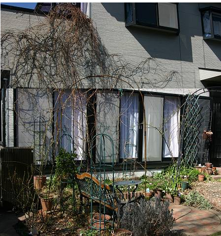 20090307garden.jpg